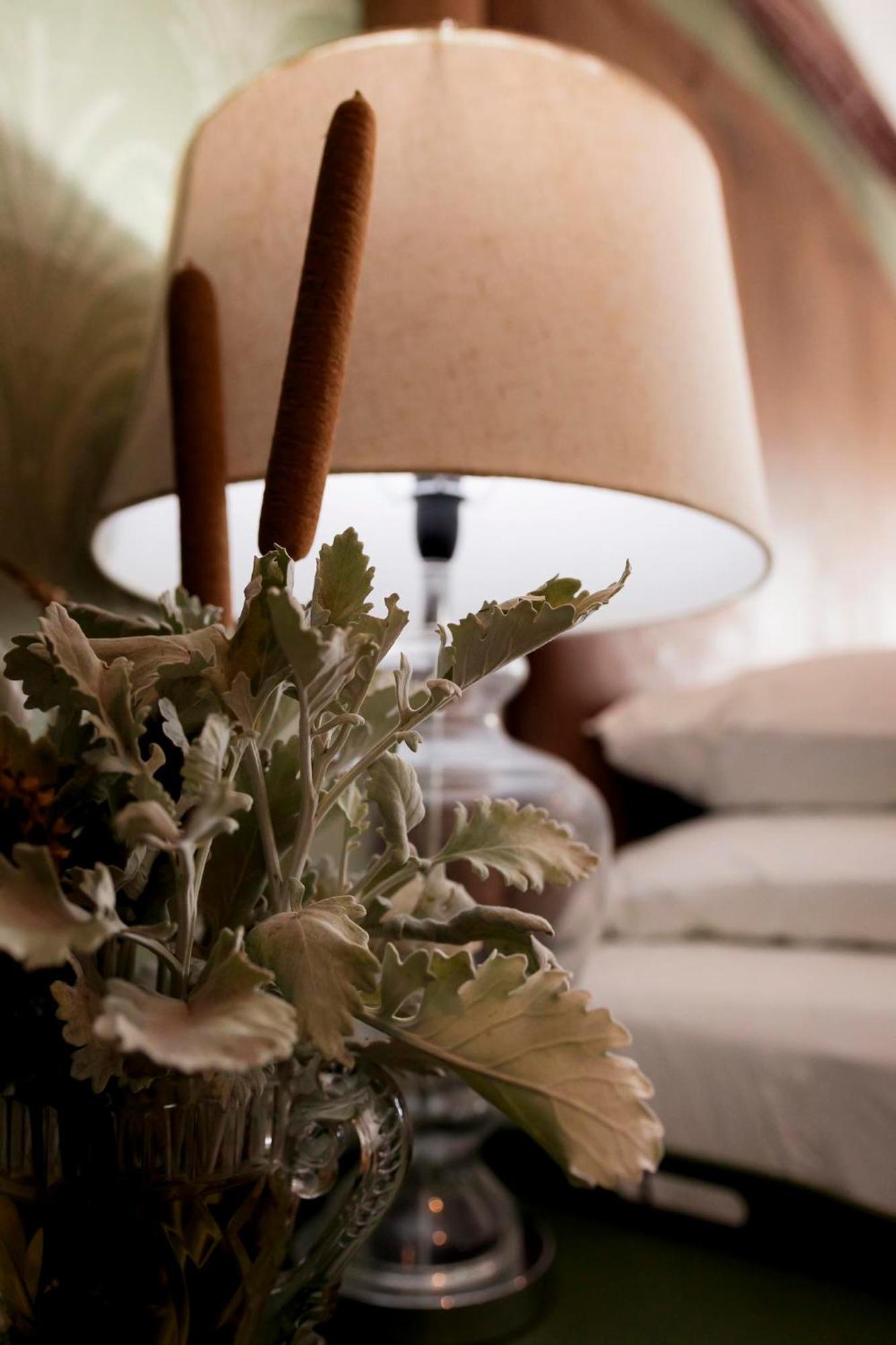 Sweetfontein Boutique Farm Lodge Britstown Dış mekan fotoğraf
